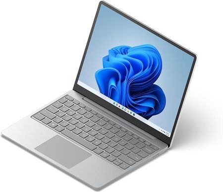 Laptop Microsoft Surface GO 12,4/i5/16GB/256GB/Win10