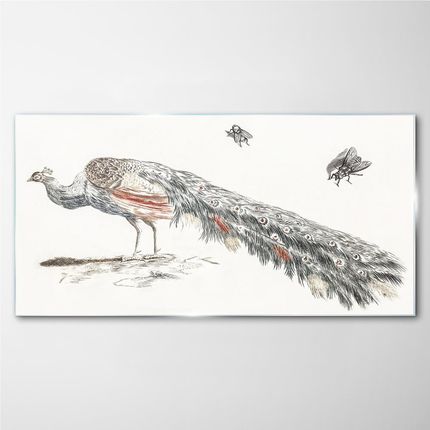Coloray Obraz Na Szkle Zwierzę Ptak Paw Muchy