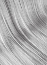 Zdjęcie Saka Silver 2,2x1,6m - Legnica