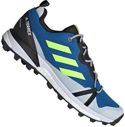 adidas Terrex Skychaser Lt Gtx 427