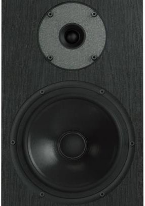 фото Акустичні колонки Pylon Audio Diamond Monitor 18 Black