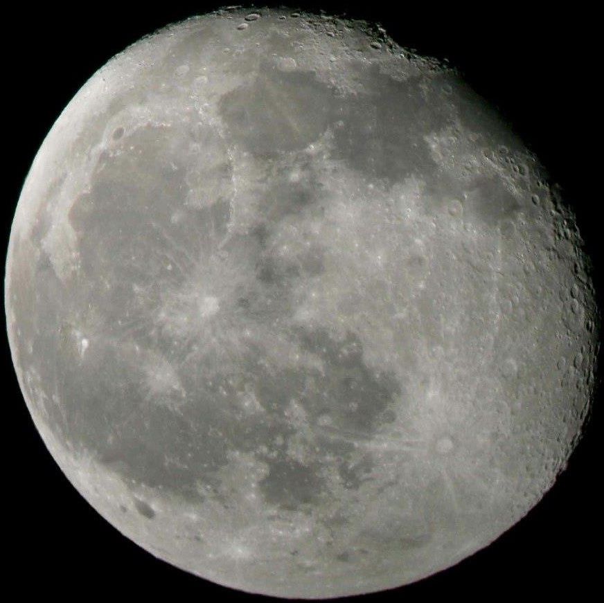 Bresser Okularowa Kamera Cyfrowa Mikrokular Full Hd (73754) - zdjęcie 7 Bresser Okularowa Kamera Cyfrowa Mikrokular Full Hd (73754)