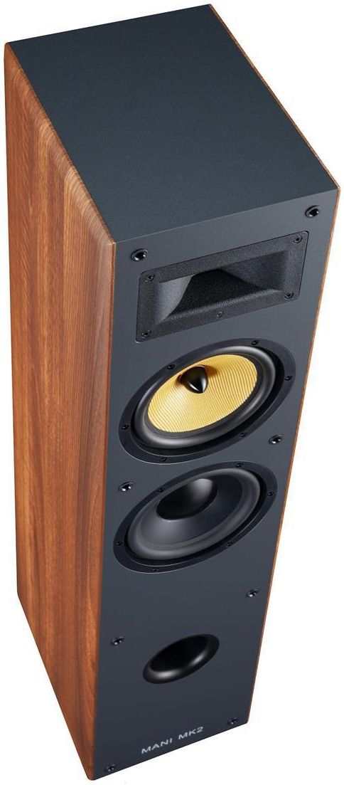 фото Акустичні колонки Davis Acoustics Mani MK2 Teak