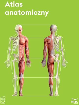 Atlas Anatomiczny Klasa 7 Justyna Mazurek Wyd. Mac