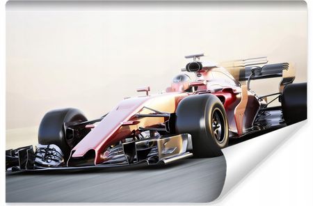 Muralo Fototapeta Do Garażu F1 Wyścigi Bolid 3D 315X210