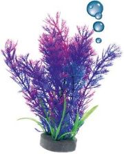 Zdjęcie Happet Roślina Folia 0F15 Mix Fioletowa - Bartoszyce