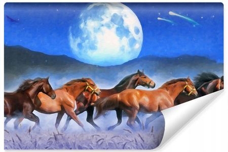 Muralo Fototapeta Ozdobna Konie Księżyc Dekor 3D 450X300