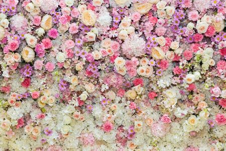 Muralo Fototapeta Ścienna Kolorowe Kwiaty Natura 270X180