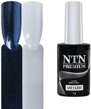 Ntn Premium Top No Wipe Shimmer Aries 5g