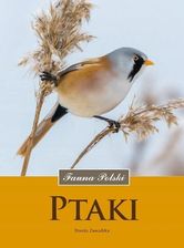 Zdjęcie Ptaki Fauna Polski - Dzierzgoń