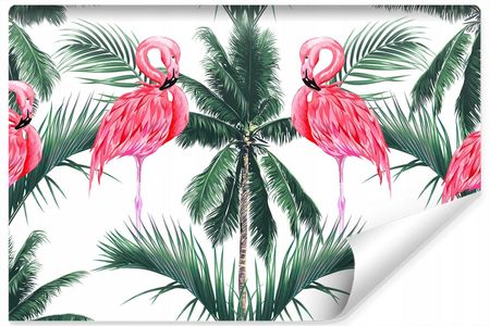 Muralo Fototapeta Dla Młodzieży Flamingi Palmy 360X240