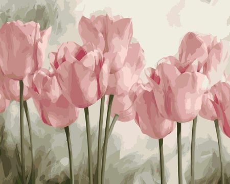 Art-Napi Różowe Tulipany Malowanie Po Numerach 40x50 cm