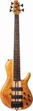 Cort A5 Plus Sc Aop W/Case - Gitara Basowa Z Futerałem