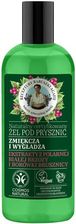Zdjęcie Babuszka Agafia Żel pod prysznic antyoksydacyjny 260ml - Lidzbark