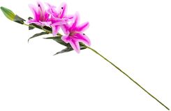 Zdjęcie Lilia Kwiat Sztuczny 30429 - Reda