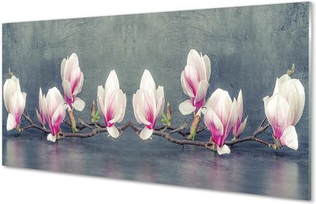 Tulup Obrazy Akrylowe Gałąź Magnolii 100X50Cm