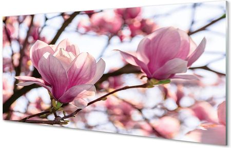 Tulup Obrazy Akrylowe Magnolia Drzewa 100X50Cm