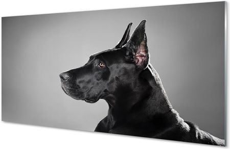 Tulup Obrazy Na Szkle Czarny Pies 120X60Cm