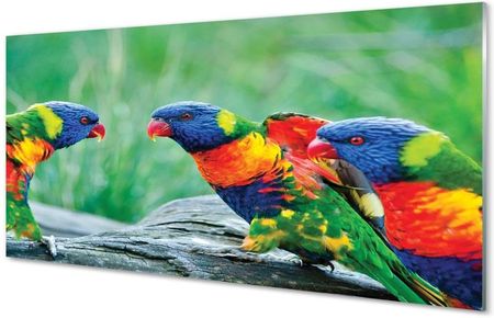 Tulup Obrazy Na Szkle Kolorowe Papugi Drzewo 125X50Cm