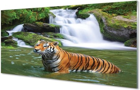 Tulup Obrazy Na Szkle Tygrys Wodospad 140X70Cm