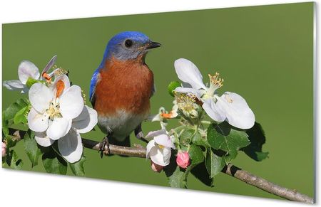 Tulup Obrazy Akrylowe Kwiaty Kolorowa Papuga 125X50Cm
