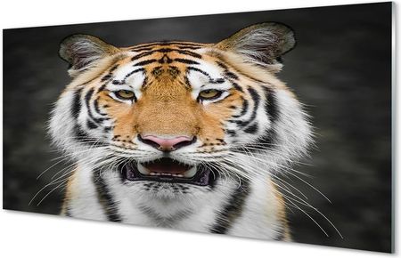 Tulup Obrazy Na Szkle Tygrys 125X50Cm