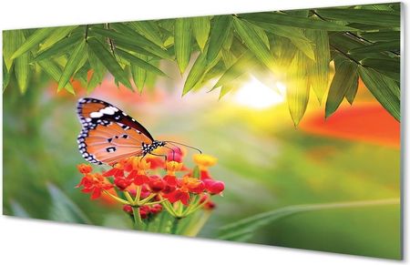 Tulup Obrazy Na Szkle Kolorowy Motyl Kwiaty 100X50Cm