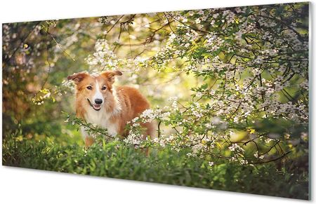 Tulup Obrazy Akrylowe Pies Las Kwiaty 120X60Cm