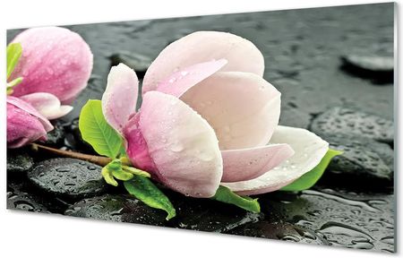 Tulup Obrazy Akrylowe Magnolia Kamienie 100X50Cm