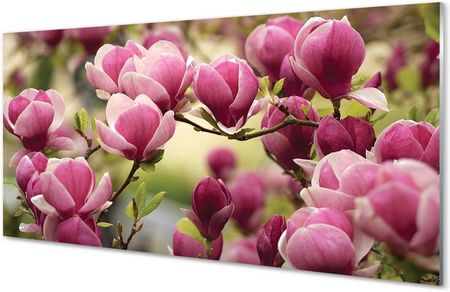 Tulup Obrazy Na Szkle Kwiaty Drzewa 120X60Cm