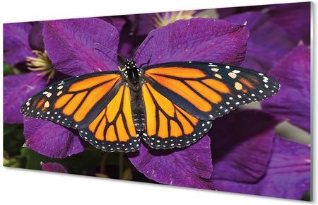 Tulup Obrazy Na Szkle Kolorowy Motyl Kwiaty 100X50Cm