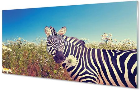 Tulup Obrazy Akrylowe Zebra Kwiaty 120X60Cm