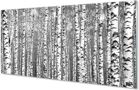 Tulup Obrazy Na Szkle Czarno-Białe Drzewa 125X50Cm