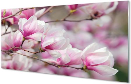 Tulup Obrazy Na Szkle Kwiaty Drzewa 120X60Cm