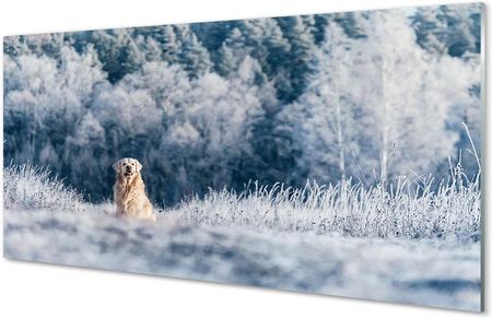 Tulup Obrazy Akrylowe Pies Góry Zima 100X50Cm