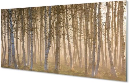 Tulup Obrazy Na Szkle Wschód Słońca Las Drzewa 120X60Cm