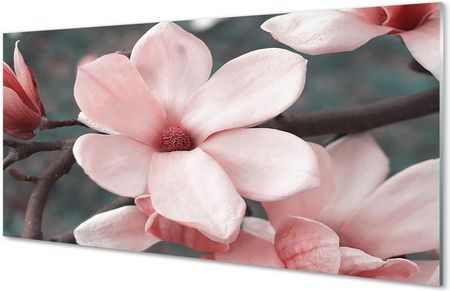 Tulup Obrazy Na Szkle Różowe Kwiaty 125X50Cm
