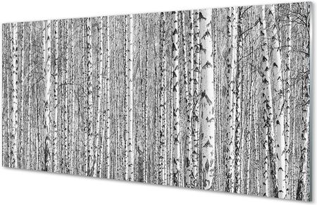Tulup Obrazy Na Szkle Czarno-Białe Drzewa Las 100X50Cm