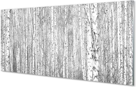 Tulup Obrazy Na Szkle Czarno-Białe Drzewa Las 100X50Cm