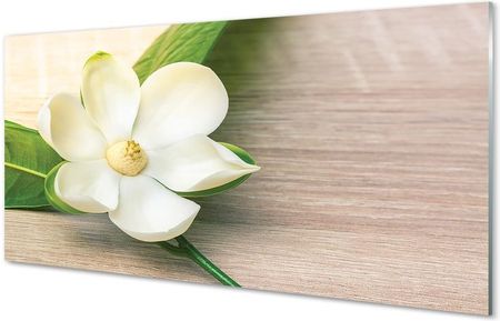 Tulup Obrazy Na Szkle Biała Magnolia 100X50Cm