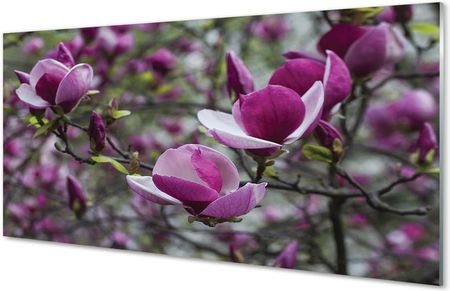 Tulup Obrazy Na Szkle Fioletowa Magnolia 100X50Cm