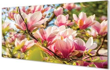 Tulup Obrazy Na Szkle Różowa Magnolia 120X60Cm