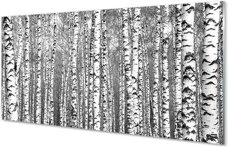 Tulup Szklany Panel Czarno-Białe Drzewa 100X50Cm