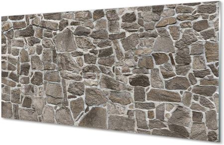 Tulup Szklany Panel Kamień Beton Cegła 100X50Cm