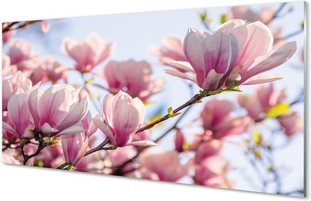 Tulup Obrazy Na Szkle Magnolia 125X50Cm
