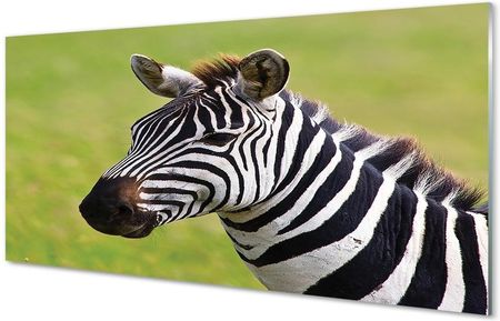 Tulup Obrazy Na Szkle Zebra 120X60Cm
