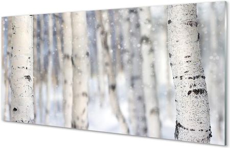Tulup Szklany Panel Drzewa Zima Śnieg 140X70Cm
