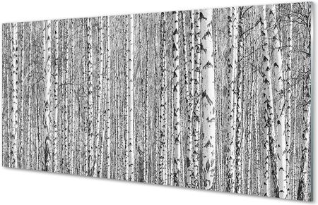 Tulup Szklany Panel Czarno-Białe Drzewa Las 100X50Cm