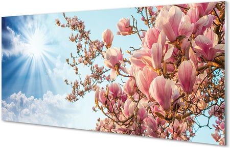 Tulup Obrazy Na Szkle Magnolia Niebo Słońce 100X50Cm