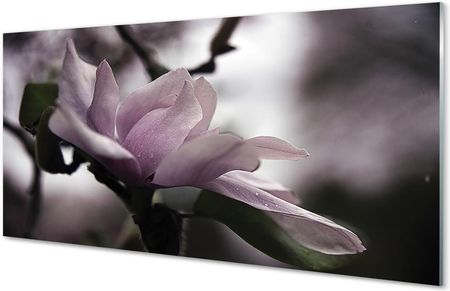 Tulup Szklany Panel Magnolia 125X50Cm